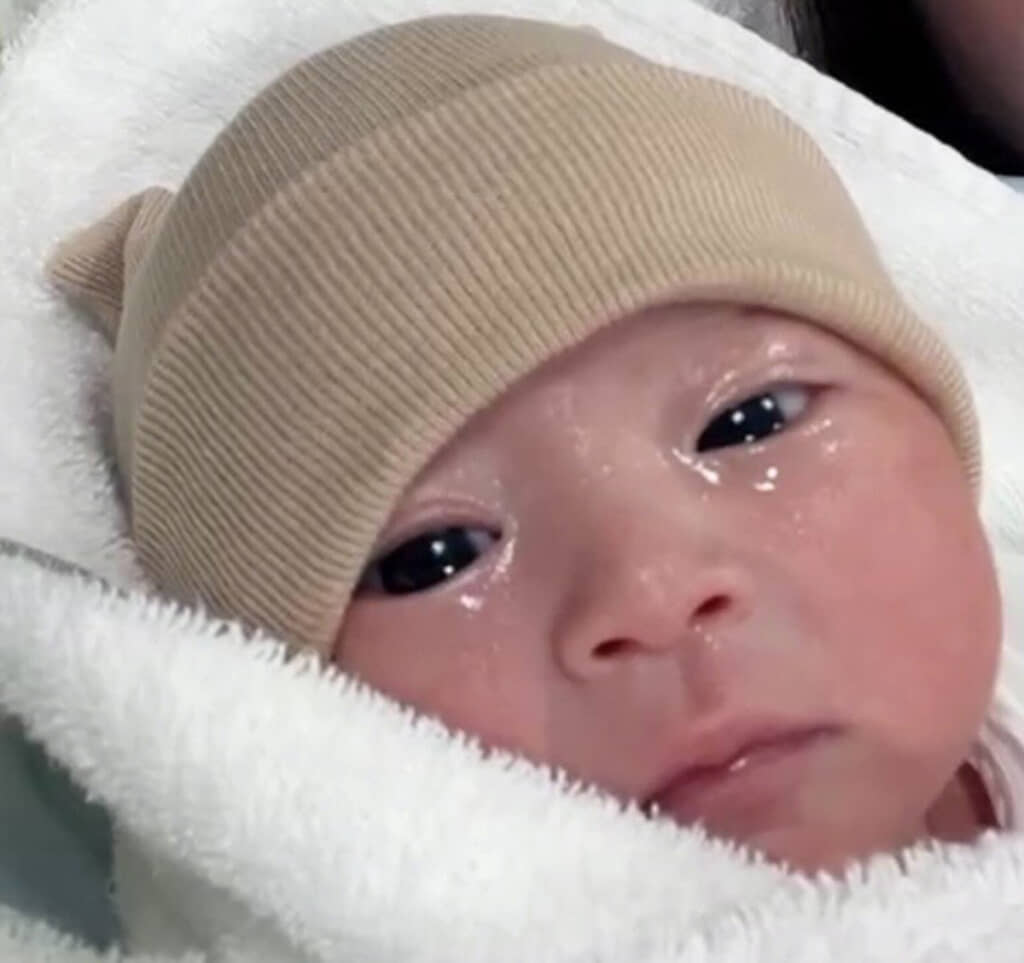 生後1時間の様子