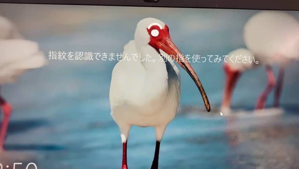 鳥の目と位置と偶然にも重なった目のようなアニメ