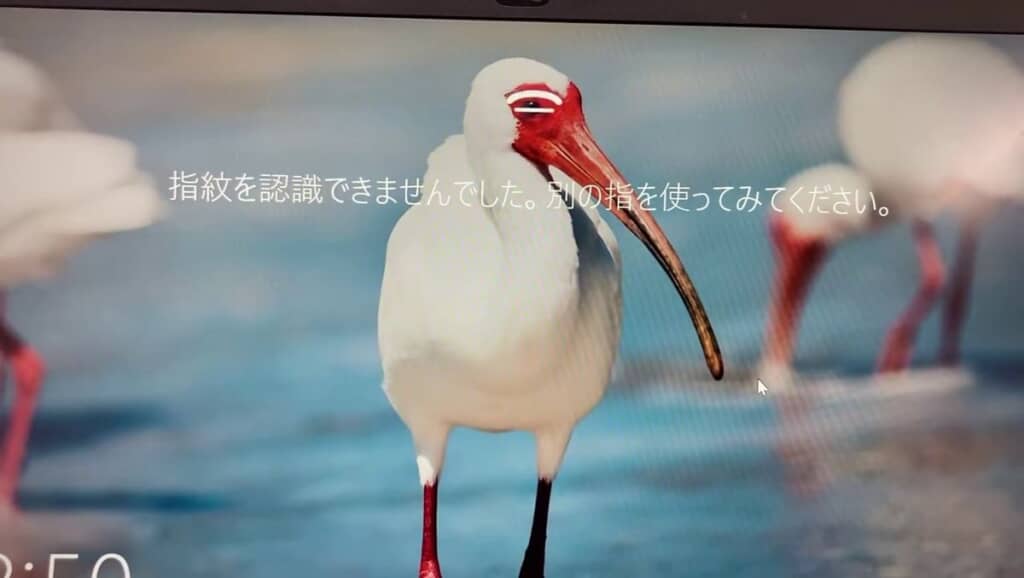 鳥が目を細めているかのように見える認証失敗のアニメ