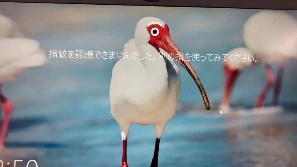 鳥が驚いたかのように見える認証失敗のアニメ
