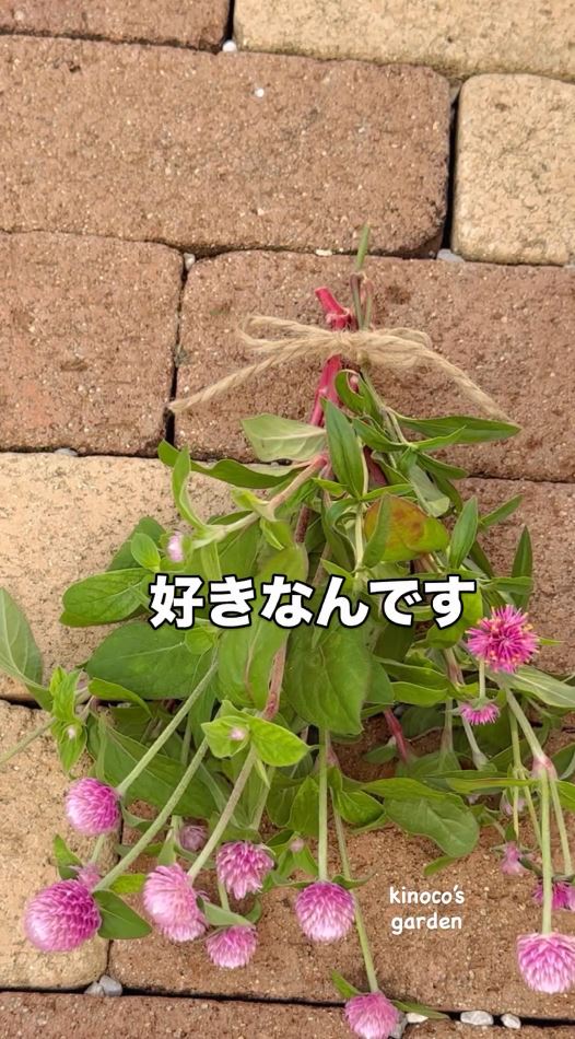 カットした苞は束ねて