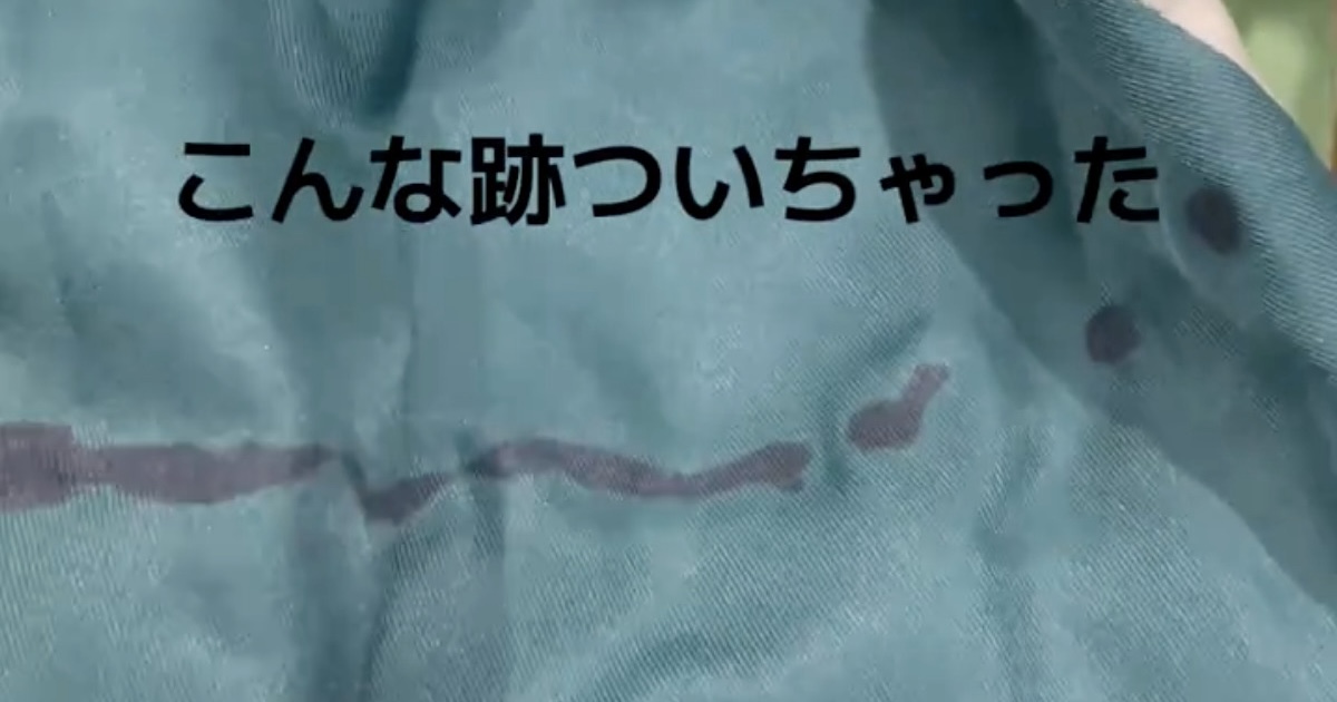 “アナ雪”仮装でディズニーへ行く前日、ドレスにシミが→「終わった」と思うも……　まさかの結果に「そういう消し方!?」「友達天才」（1/2） | ディズニー ねとらぼ