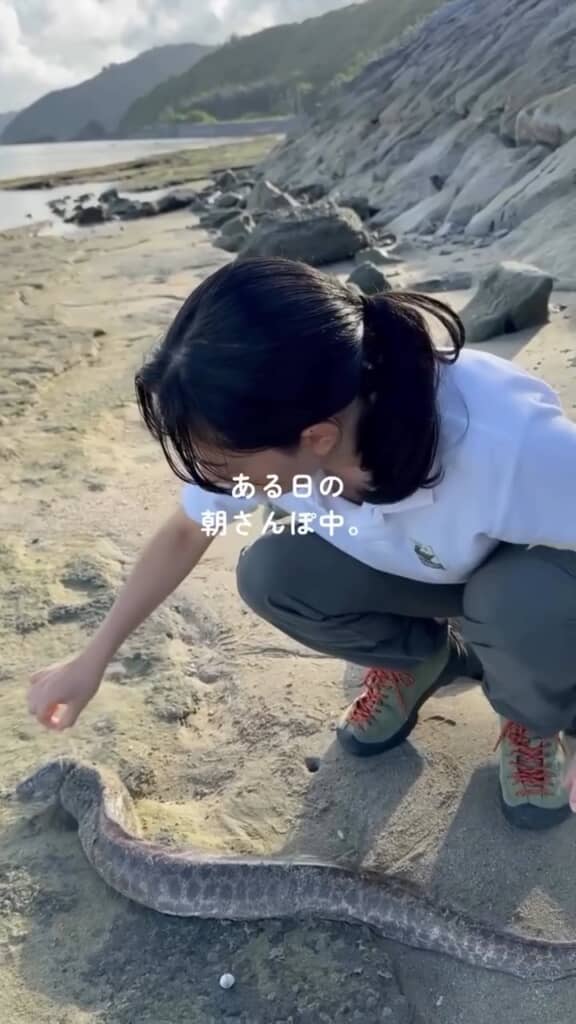 浜辺ではあり得ないウツボとの遭遇