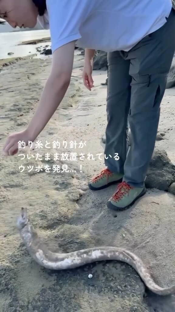 陸ではあり得ないウツボ。釣り針と釣り糸が絡まっているのも苦しそう