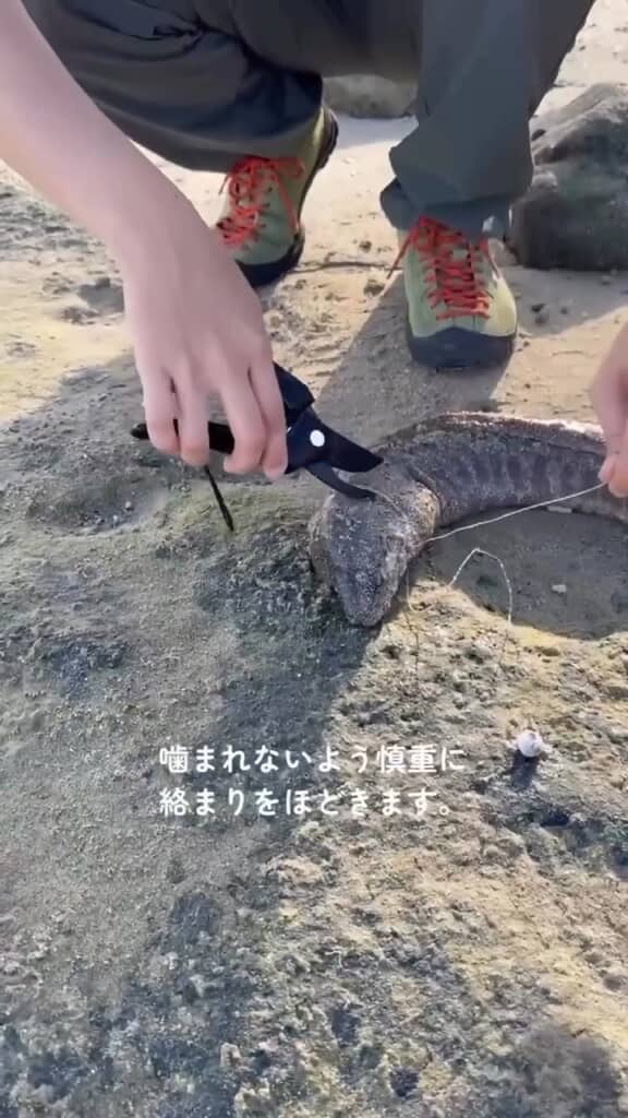 かまれると大変なので、慎重に対応