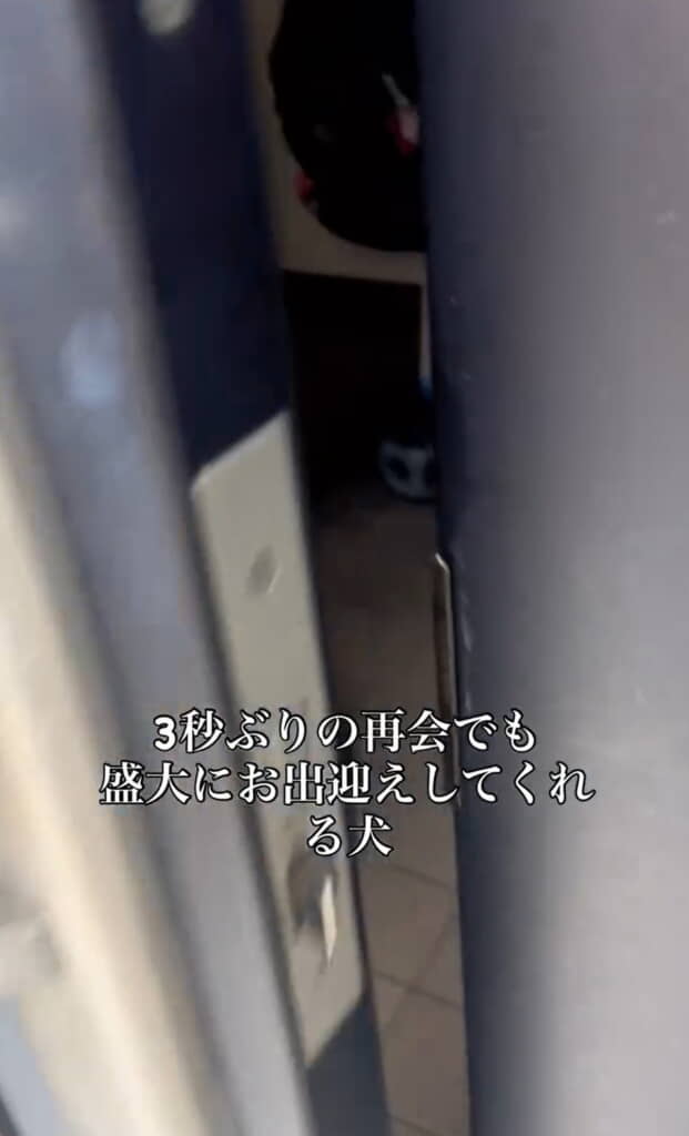 ただいま（3秒後）