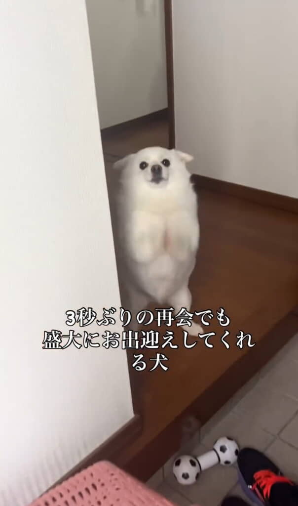 天使がおる……！