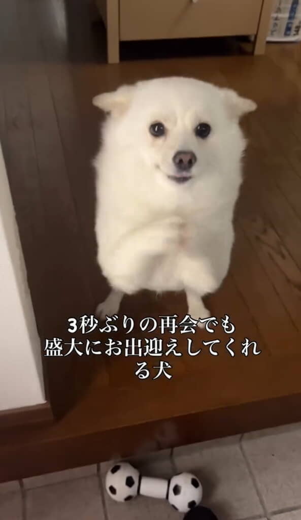 ニコニコしているところもたまりません