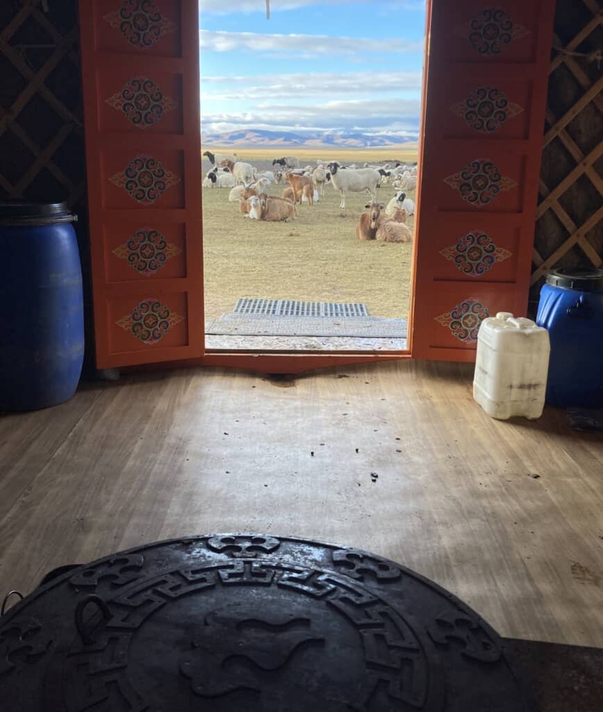 実際のモンゴル