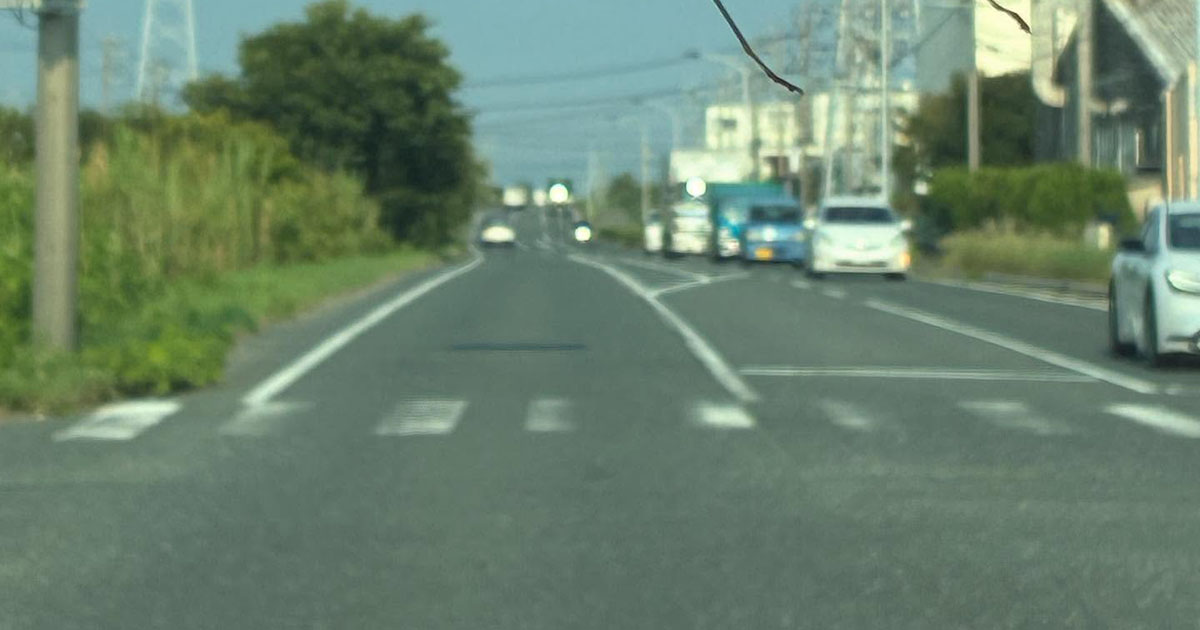 突然、車のフロントガラスにやって来た“大物ゲスト”→奇跡の1枚に「逃げろ～！」「すんごいカメラ目線」（1/3） | その他生き物 ねとらぼ