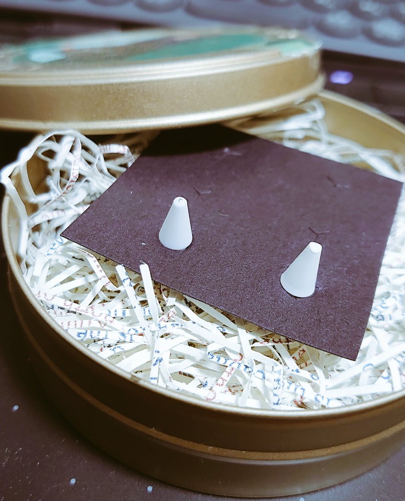 購入から間もない頃の投稿