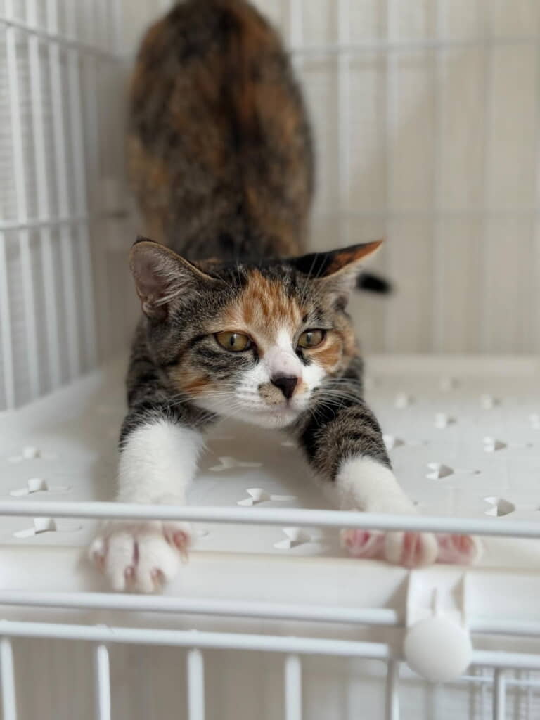 かなり人慣れしてくれました◎