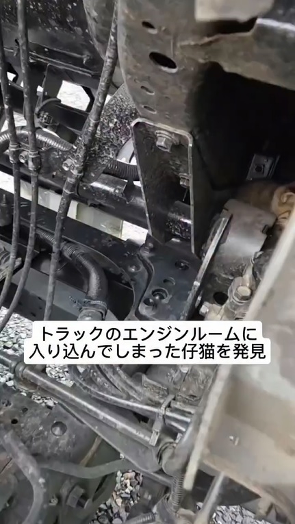 エンジンルームに入り込んだ猫