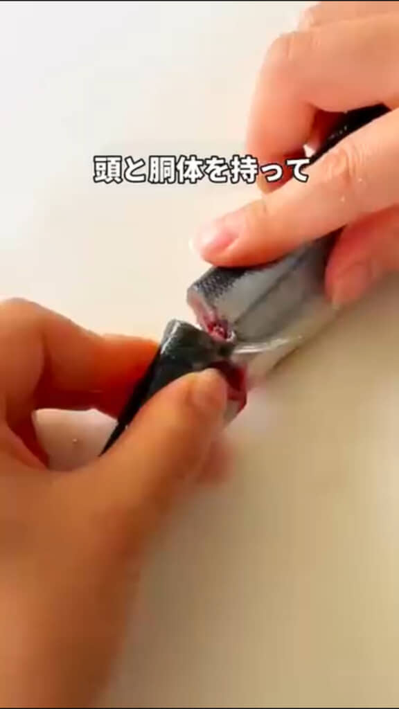 さんまのワタを取る方法