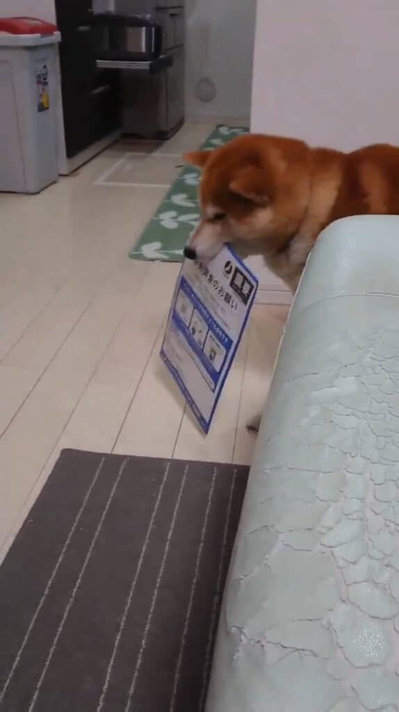 その青い封筒は……