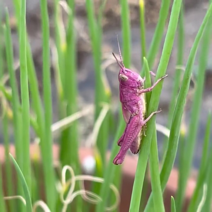思わず何度も見てしまいそう