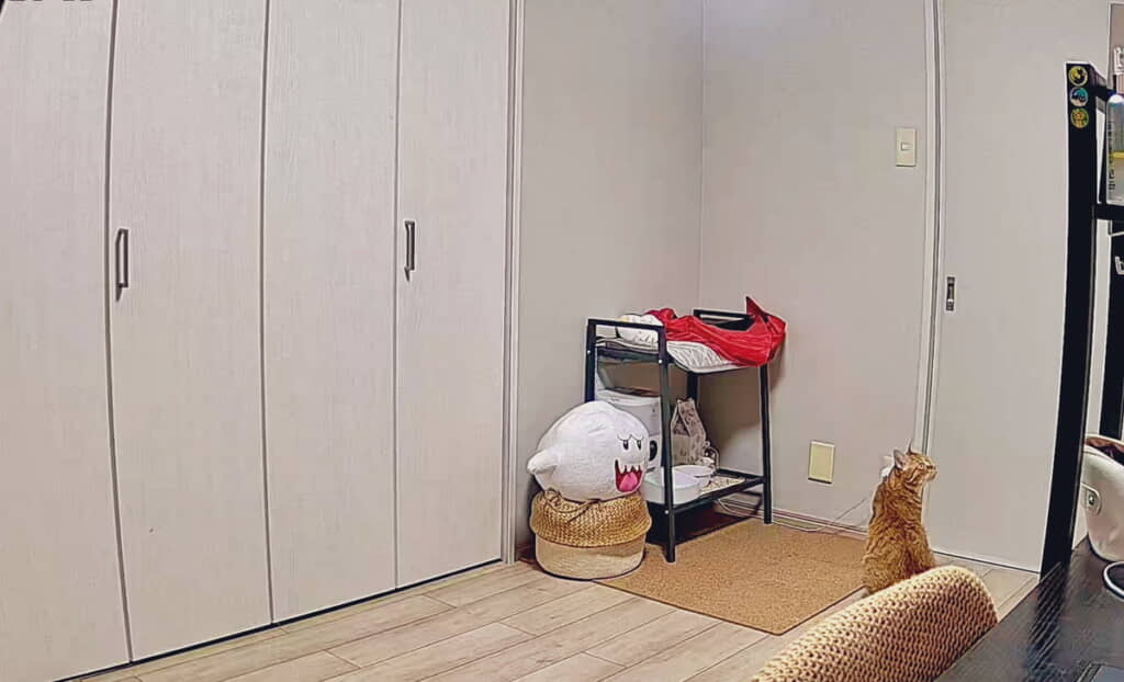 ずっと待っている小判くん