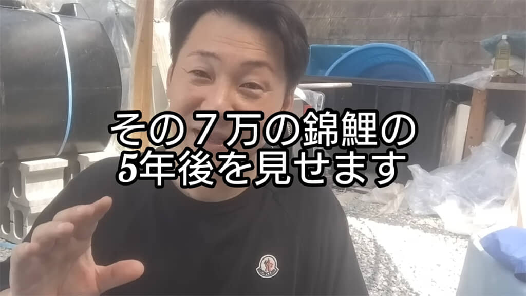 5年前に購入した錦鯉を見せてくれます