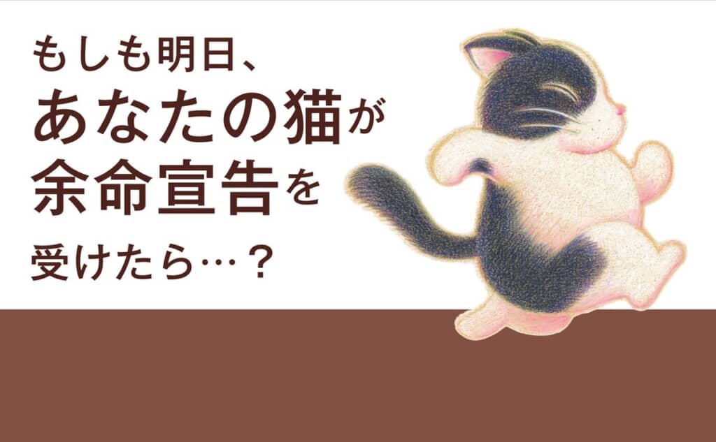 「あなたの猫が余命宣告を受けたら…？」と問う文章と走る猫のイラスト
