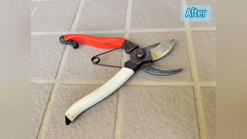 メンテナンス後のきれいになった剪定バサミ