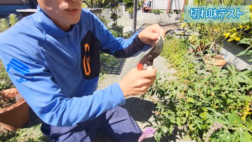 割り箸を剪定バサミで切断する