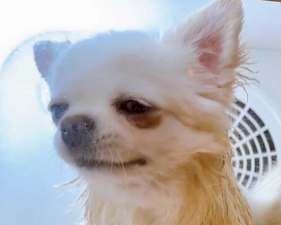 なかなか乾かない理由は……