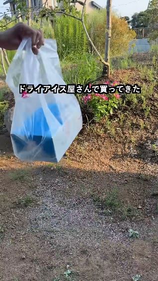 ドライアイス屋さんで買ってきた