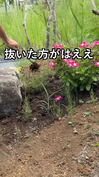 結論：抜いた方がはええ