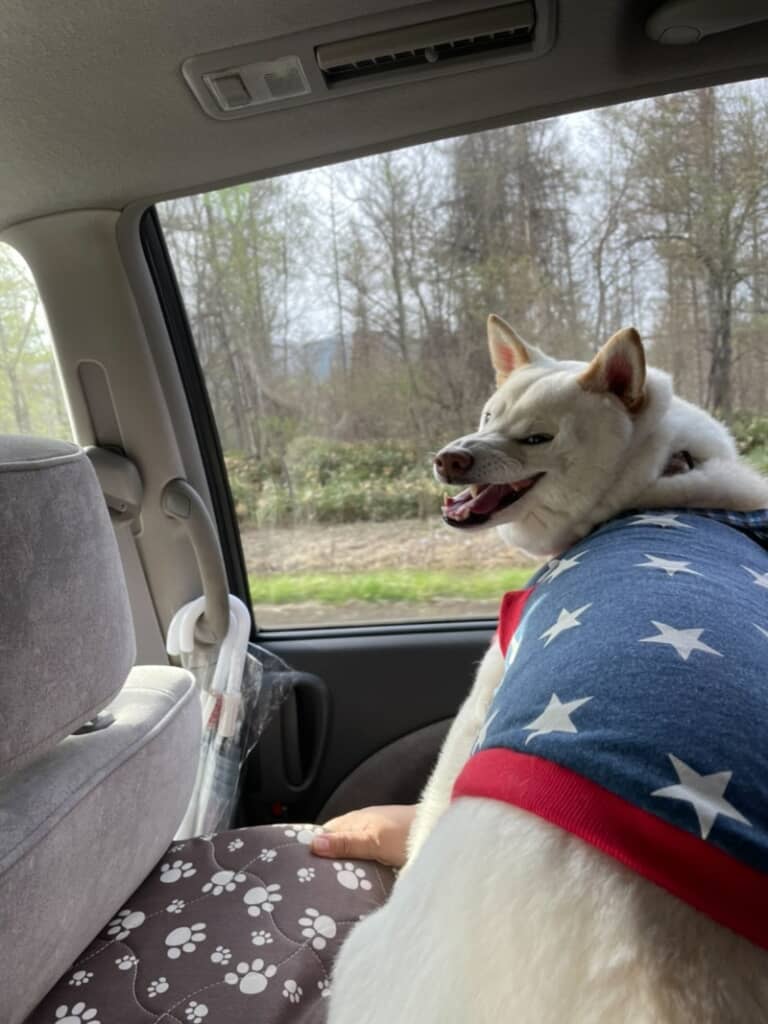 怒ってる……？