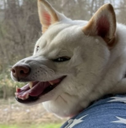 これはそっくり