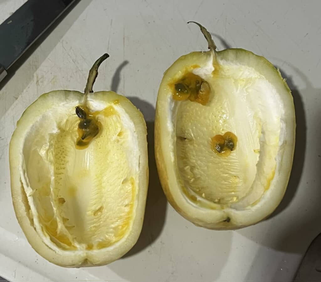 これは目をうたがう