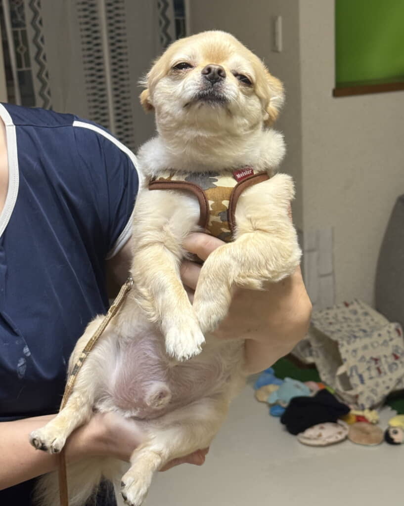 お母さんのときはゆったりリラックス