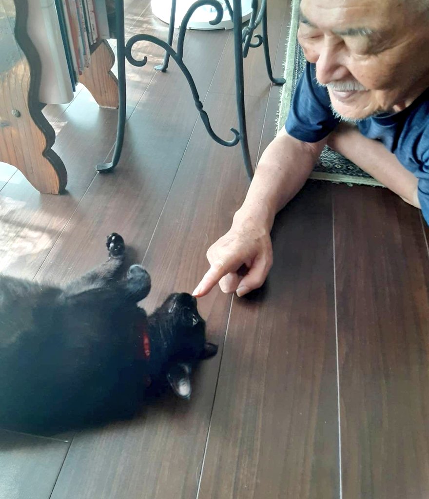 保護猫「るるちゃん」と父親の暮らし