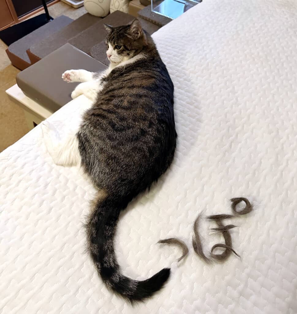 「し」のカーブが美しい