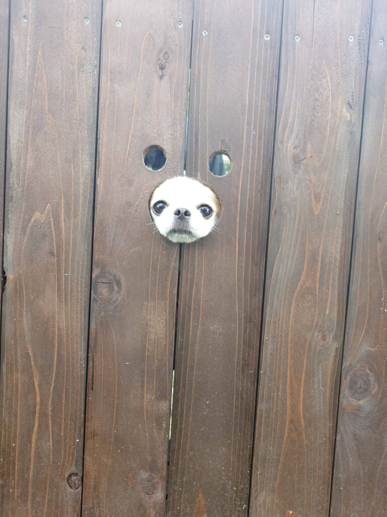 上2つの穴が無意味に……！