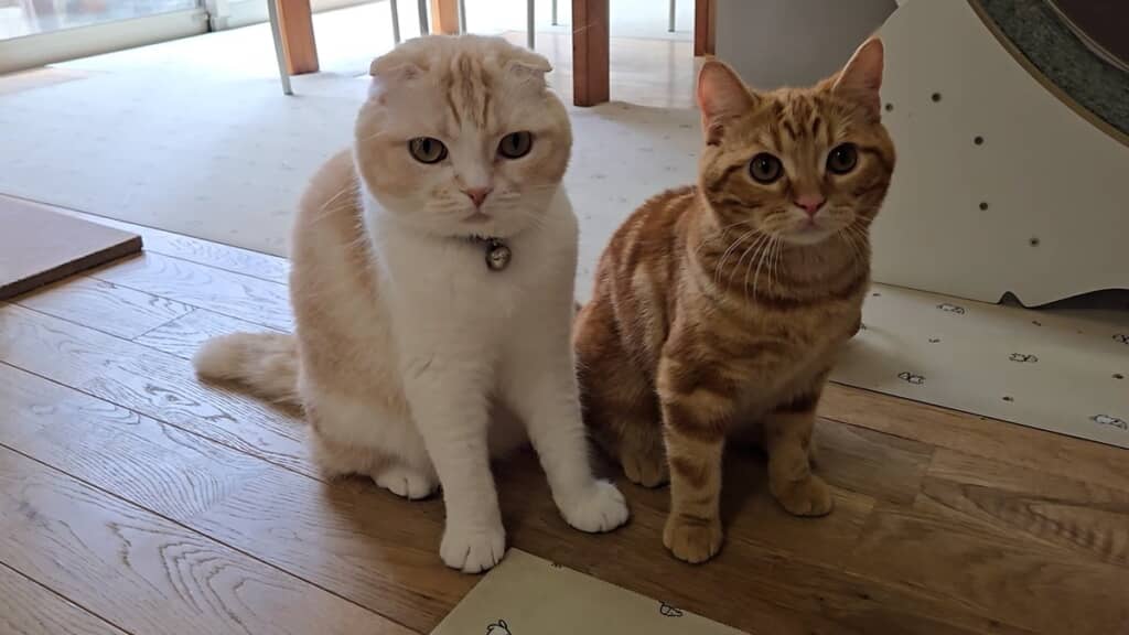 じゅんちゃんとの2ショット