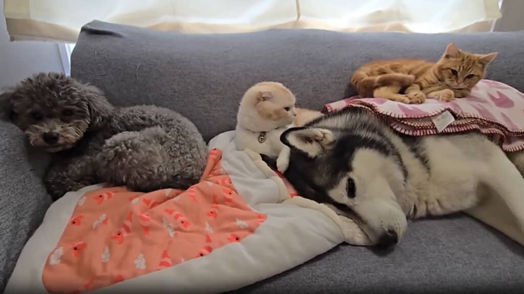 みんなでまったり