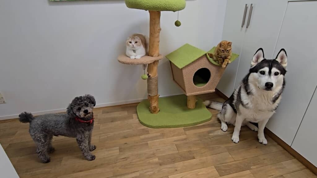 揃って飼い主さんをお出迎え！