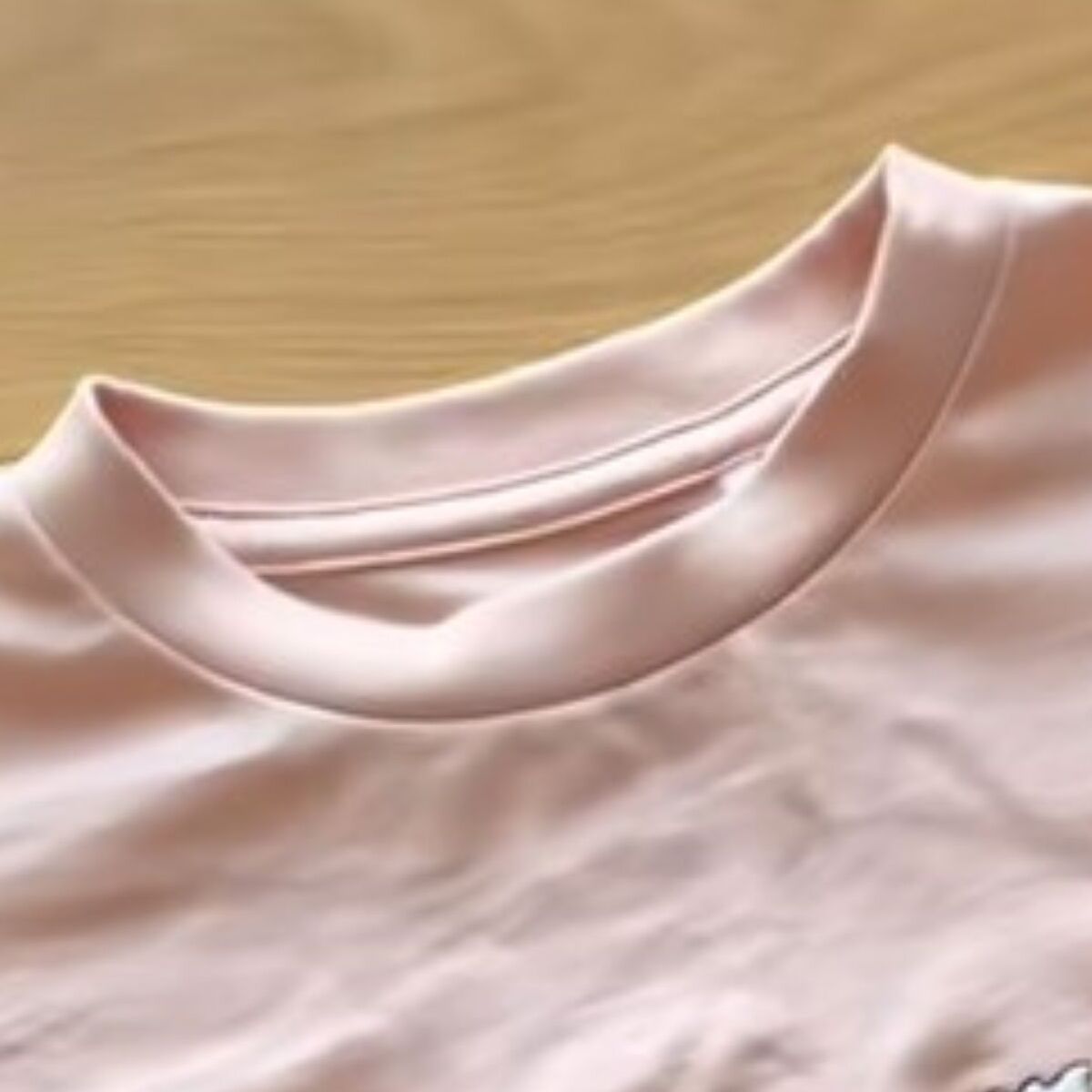 300円で買った娘のTシャツ→ママが9日間かけて刺しゅうしたら……　圧巻の仕上がりに「売ってたら即買います」 | ライフスタイル ねとらぼ