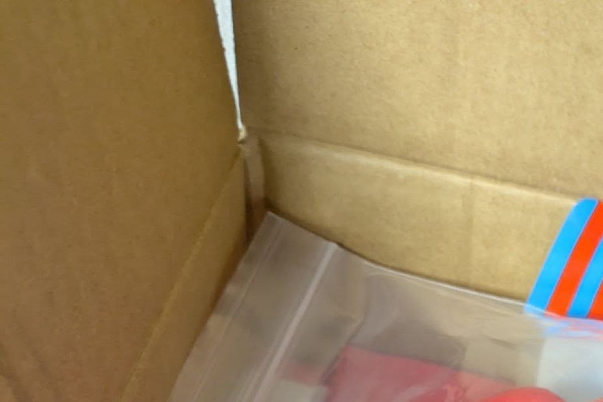 万博へ行ったおばあちゃんから“ダンボール”が届き→開けたら……　まさかの中身に「涙出そう」「最高ですね」 | ライフスタイル ねとらぼ