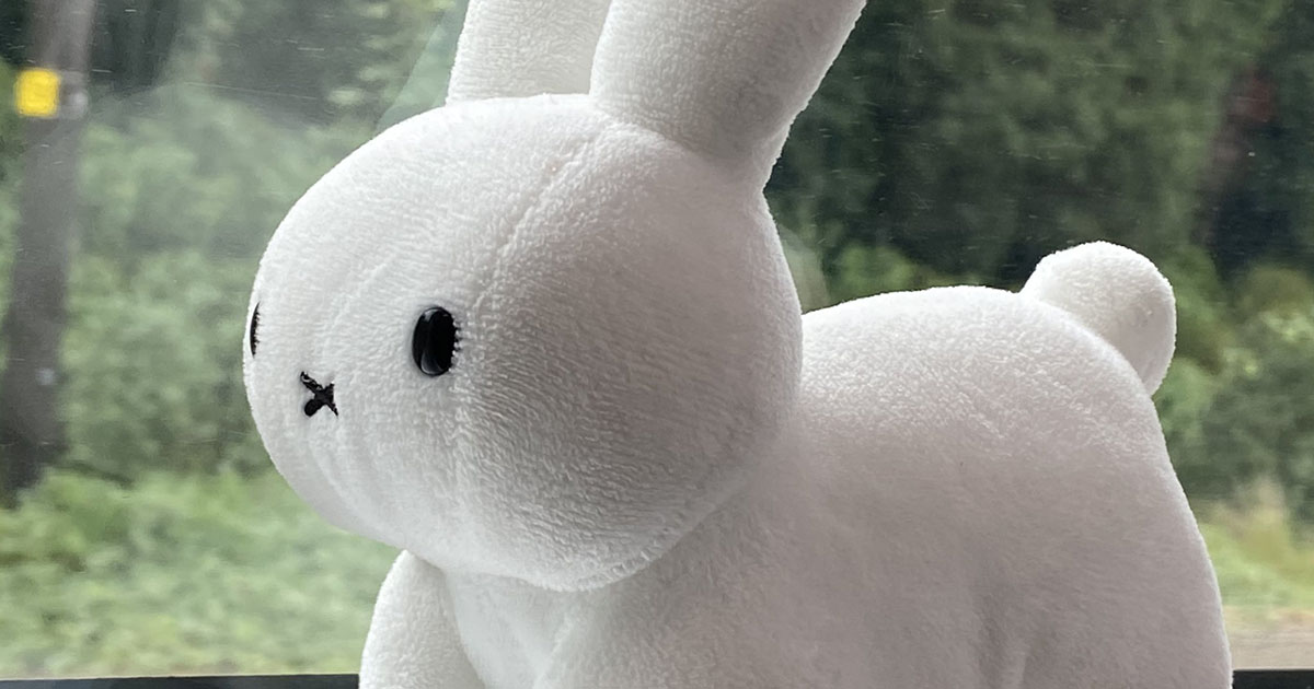 うさぎのぬいぐるみ→窓際に置かれた、次の瞬間……「グエッ」　“まさかの悲劇”に「爆笑しました」（1/2） | ライフスタイル ねとらぼ