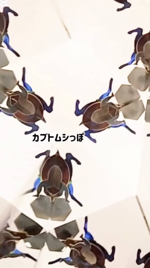 偶然カブトムシっぽいのも完成
