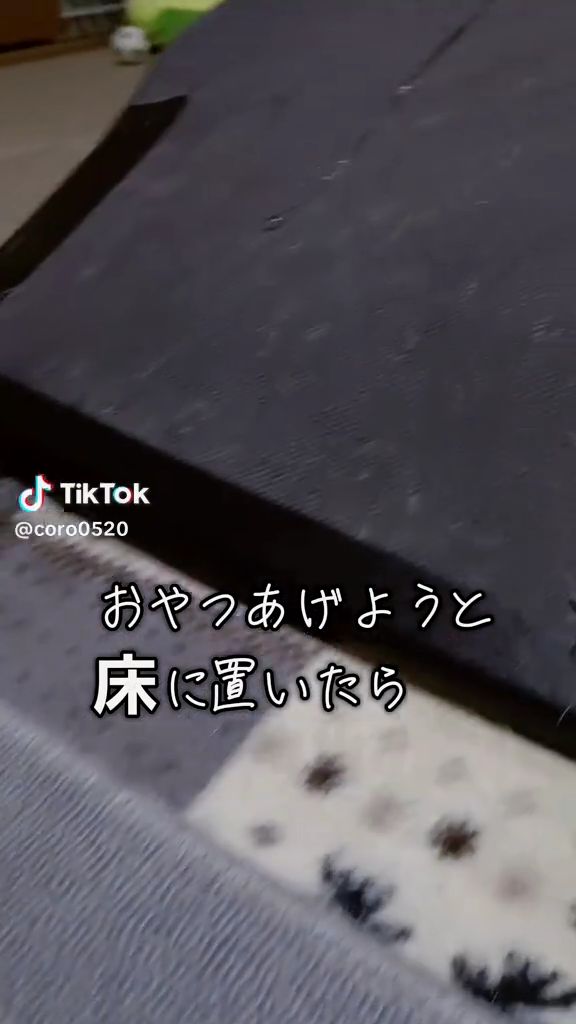 コロくんはスロープの上にいます