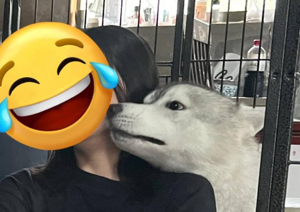 リュカくんは飼い主さんに好き好きアピール中