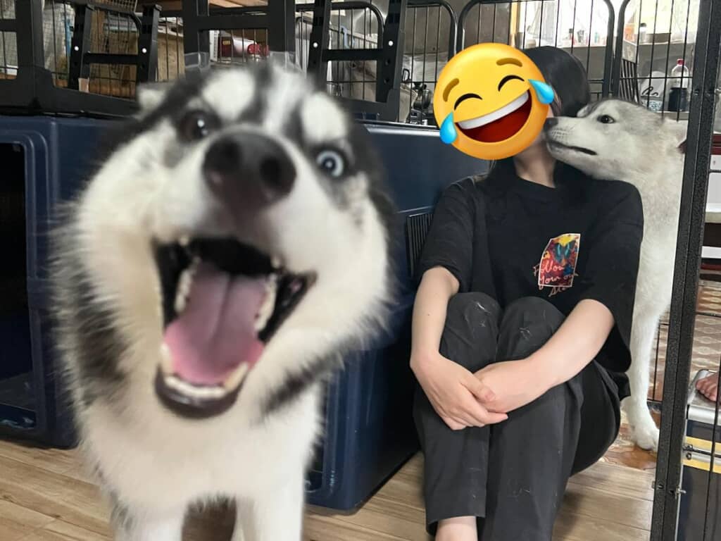 満面の笑顔が陽気すぎるヒースくん