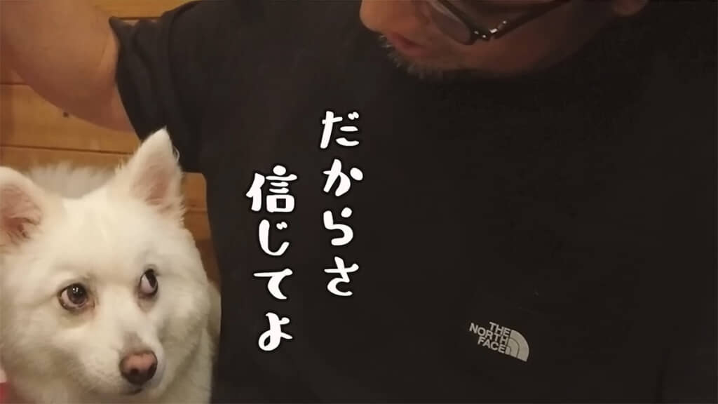 信じてよ、と言いたげなお顔のチャンくん