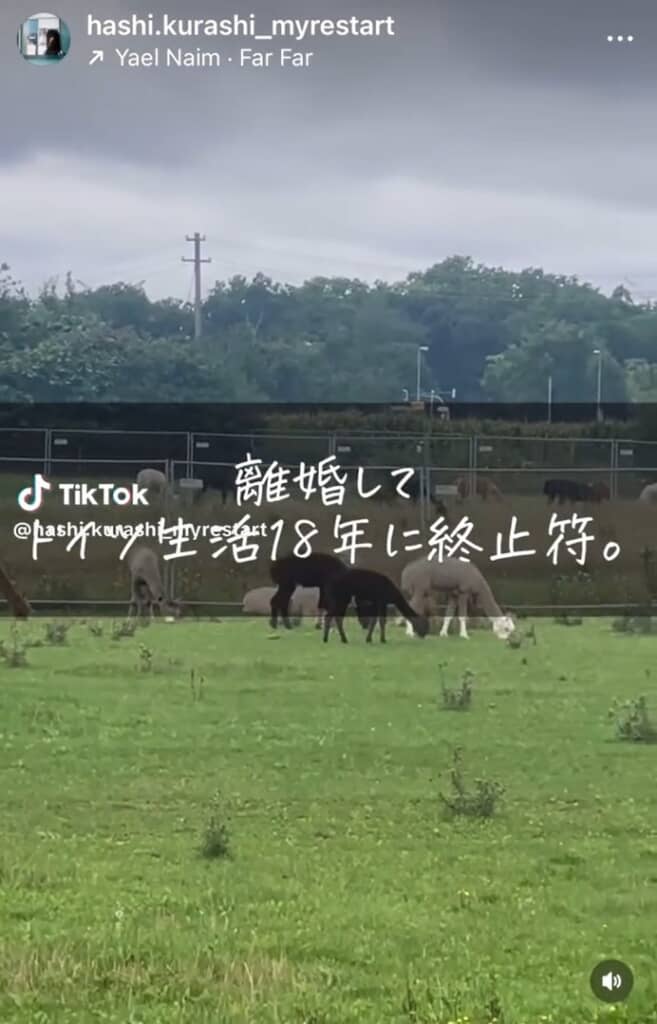 離婚して日本へ帰国することに