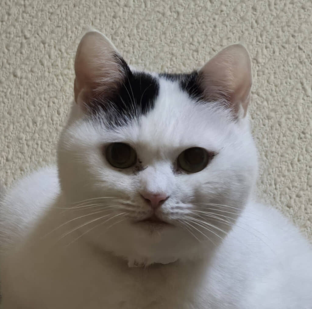 冬毛で全体がボリュームアップ