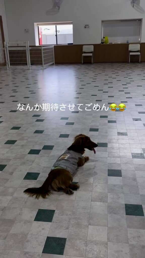 そんな日もあります