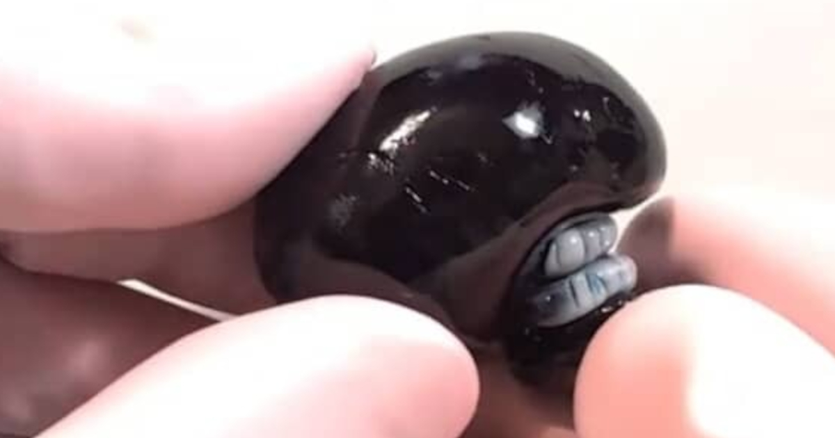 パティシエが飴細工で『チェンソーマン』のレゼを作ったら……　完璧すぎる再現度に「これ商品化されてもいい」「もったいなくて食べれない」（1/3） | グルメ ねとらぼ